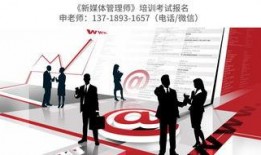 爆料网红领巾最新版介绍,时尚潮流与实用功能的完美结合