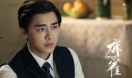 麻雀全集在线观看,揭秘抗战岁月中的英雄传奇